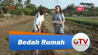 Download Dari Kangkung Pak Acang Hidupi Keluarga | Bedah Rumah #373 (1/4) GTV MP3