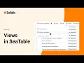 Creating and Managing Views in SeaTable