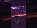 Bad bunny -monaco