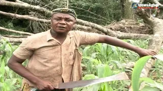 akobeghian adugbo ebaba benin music video best quality akobe latest music