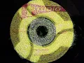 SKYLARKING (original Studio One cut) / SKY-RHYTHM - Horace Andy / Dub Specialist.