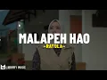 Download Lagu Rayola - Malapeh Hao (Lirik Lagu) Lapuaknyo dahan nan mati..  Salapuak cinto ka badan diri..