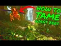 How To Tame GIANT QUEEN BEE in Ark Survival Ascended ASA Tips and Tricks