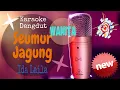 Download Lagu Karaoke Dangdut Seumur Jagung - Ida Laila - Tanpa Vocal