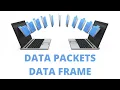 Data Packets and Data Frame