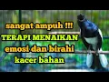 Lagu TERAPI MENAIKAN EMOSI DAN BIRAHI KACER