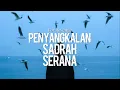 Download Lagu For Revenge - Penyangkalan - Sadrah - Serana (lyrics speed up + reverb)