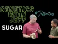 SUGAR - THIS GENE IS SWEET