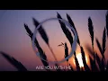 Download Lagu Lost Frequencies - Are you with me (DJ ArturiX Remix)