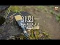 최유리 (Choi Yu Ree) - 땅과 하늘 사이｜Between Earth and Sky｜야외녹음실｜Beyond the Studio｜LIVE
