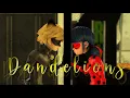 Download Lagu [AMV] Dandelions - Miraculous Ladybug