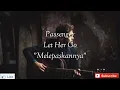 Download Lagu Passenger - Let Her Go Lirik dan Terjemahan