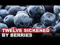 FDA Issues Highest Risk Warning As Frozen Berries Cause E Coli Outbreak