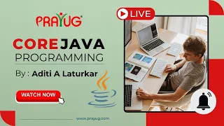 Exploring Primitive Data Types Wrapper Classes and Type-Casting in Programming Prayug