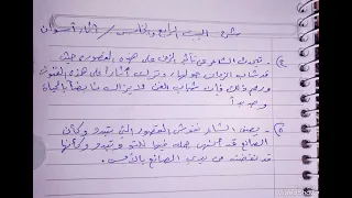 شرح البيت الرابع والخامس من قصيدة أثار أسوان طلابي 