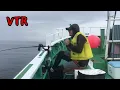 足下サビキでアジ・サバを連発させた一撃必殺のサビキ釣法！この一角だけ魚が回遊している不思議なスポット【夏のレジャーにオススメ】