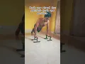 Download Lagu Push ups stand for push ups workout @tahilrayfitnessshorts #tahil #workout #gym