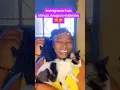 Download Lagu dawa ya paka? #trendingshorts #cats #trendingvideo