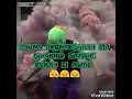 Download Lagu Kata kata bajingan berkelas selnyesel