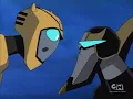 Bumblebee Isn't Wearing Underwear Today
