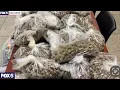 MANHATTAN NY NEW YORK OPENS 1st RECREATIONAL MARIJUANA DISPENSARY IN MANHATTAN