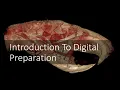 Introduction to Virtual Paleontology Introduction to Digital Preparation 1