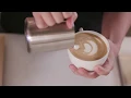 Breville Bambino Plus Espresso Maker Williams Sonoma