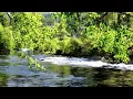 Original song: Saudade by Leaf