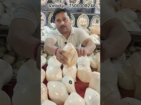 2 in one shankh | Gauri shankar shankh sabse pravritt shankh #shankh
