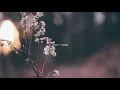 Download Lagu bts v - scenery (orchestral lofi ver.)