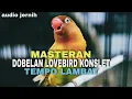 Download Lagu 🔴 masteran suara minor lovebird tempo lambat || mudah dipahami lovebird