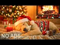 24 Hours of Relaxing Music Deep Sleep Puppy Calm Music Dog Separation Anxiety Music