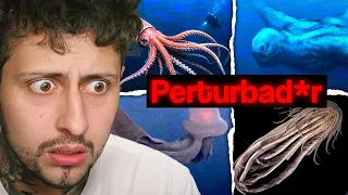 Reaccionando a El Iceberg de La Antártida 😥 | Pelicanger
