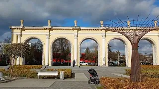 Листопад в Житомирі в золоті 