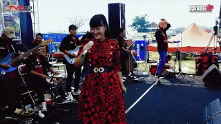 bukit berbunga om kudeta music apsi gondangrejo pavigo fvs hd