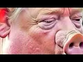 Why is Trump Ass So Big