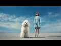The Transformative Power of Poodle Adoption Heartwarming Rescue Stories