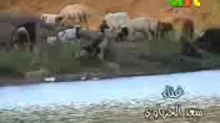 سعد الحرباوي دمعي جمره بعيوني دندنها