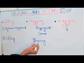 What is between Rigging and kaya and