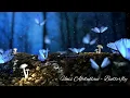 Download Lagu Unis Abdullaev - Butterfly (Piano, Instrumental)