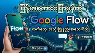 Google Flow version