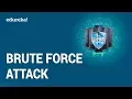 What is Brute Force Attack Password Cracking Using Brute Force Attacks Edureka