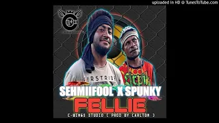 felie 2020 sehmi fool x spunky prod by carlton efco c wings studio