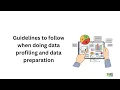 Guidelines for data profiling and data preparation using python