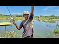 Download Lagu SUMBER PROTEIN DARI BELAKANG RUMAH! KOLAM IKAN TERBESAR DI PERMUKIMAN TRANSMIGRASI TANJUNG BUKA