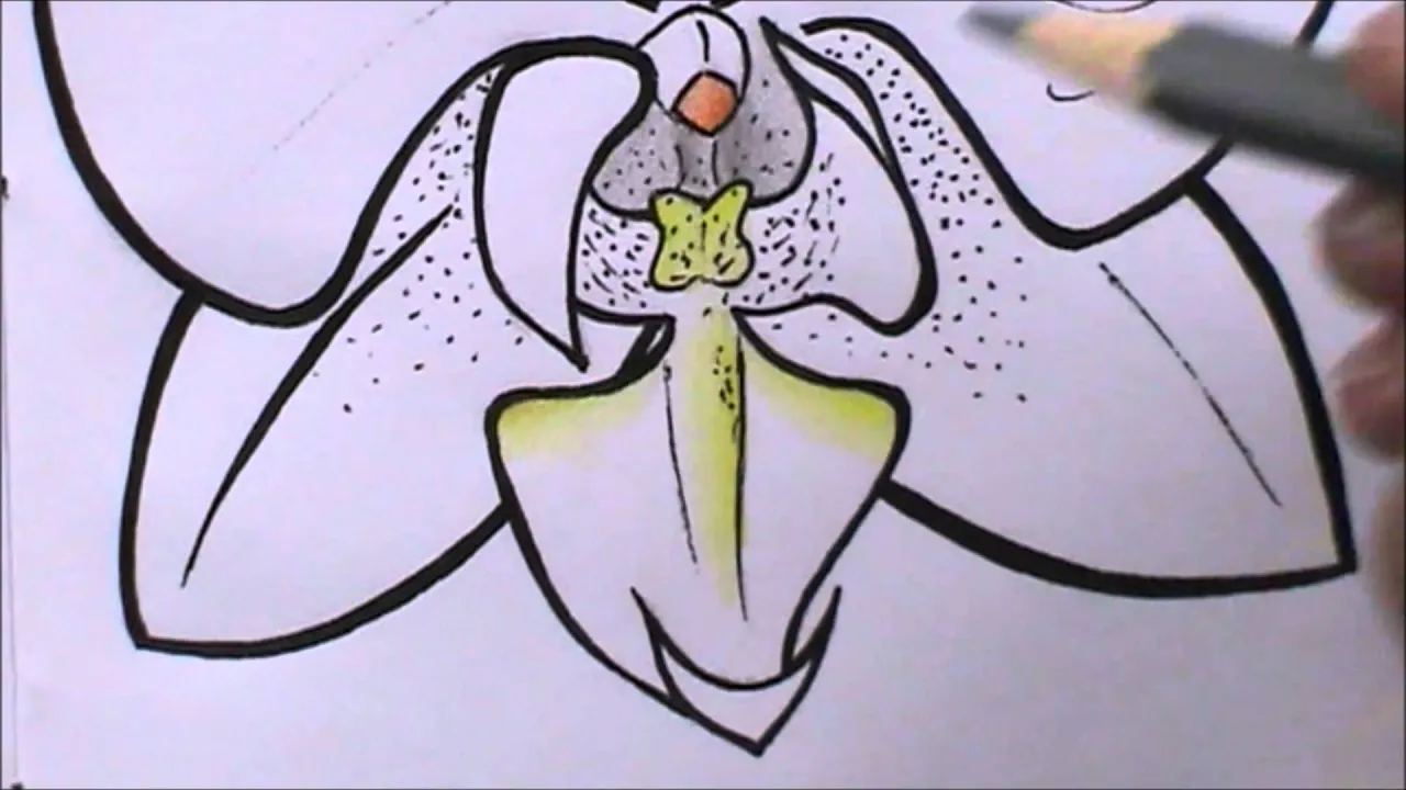 HOW TO DRAW AN ORCHID STEP BY STEP