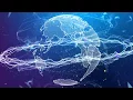 Trapcode particular after effects Trapcode form 3D earth U Plexus after effects background