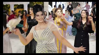 شيخاني جديد 2025 اعراس ديرك ALiKURDI علي الكردي 