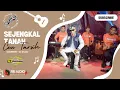 SEJENGKAL TANAH CEU TARSIH - X CT MUSIC COVER