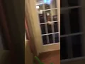 Home Depot Lot Attendant Speech